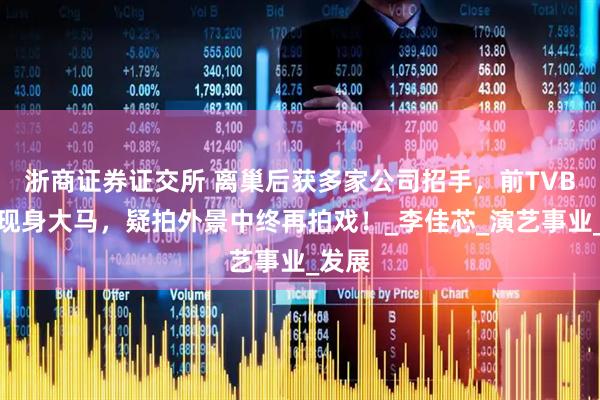 浙商证券证交所 离巢后获多家公司招手，前TVB视后现身大马，疑拍外景中终再拍戏！_李佳芯_演艺事业_发展